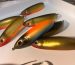 Workshop racks with hanging airbrushed lures in orange, green and blue-yellow colours